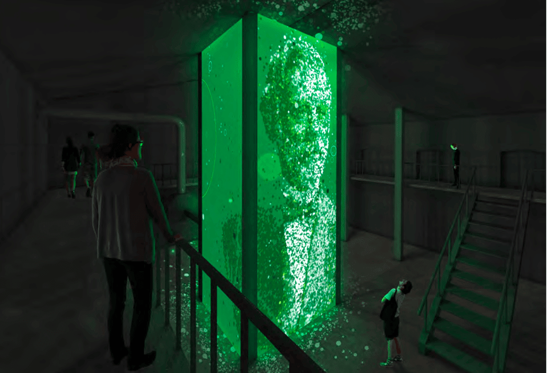 Carlsberg Experience