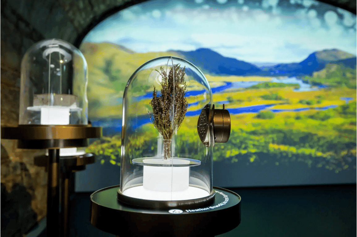 Isle of the Senses · EPIC Ireland