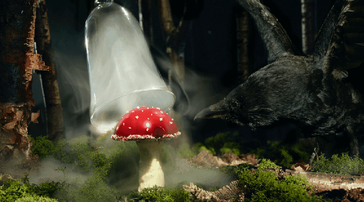 Monarch Theatre · Wonderland